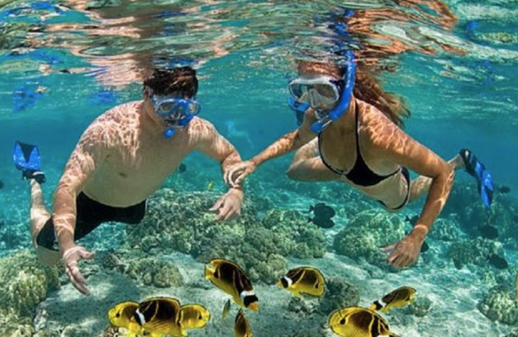 Best Beaches For Snorkeling In Puerto Rico Escambron Beach