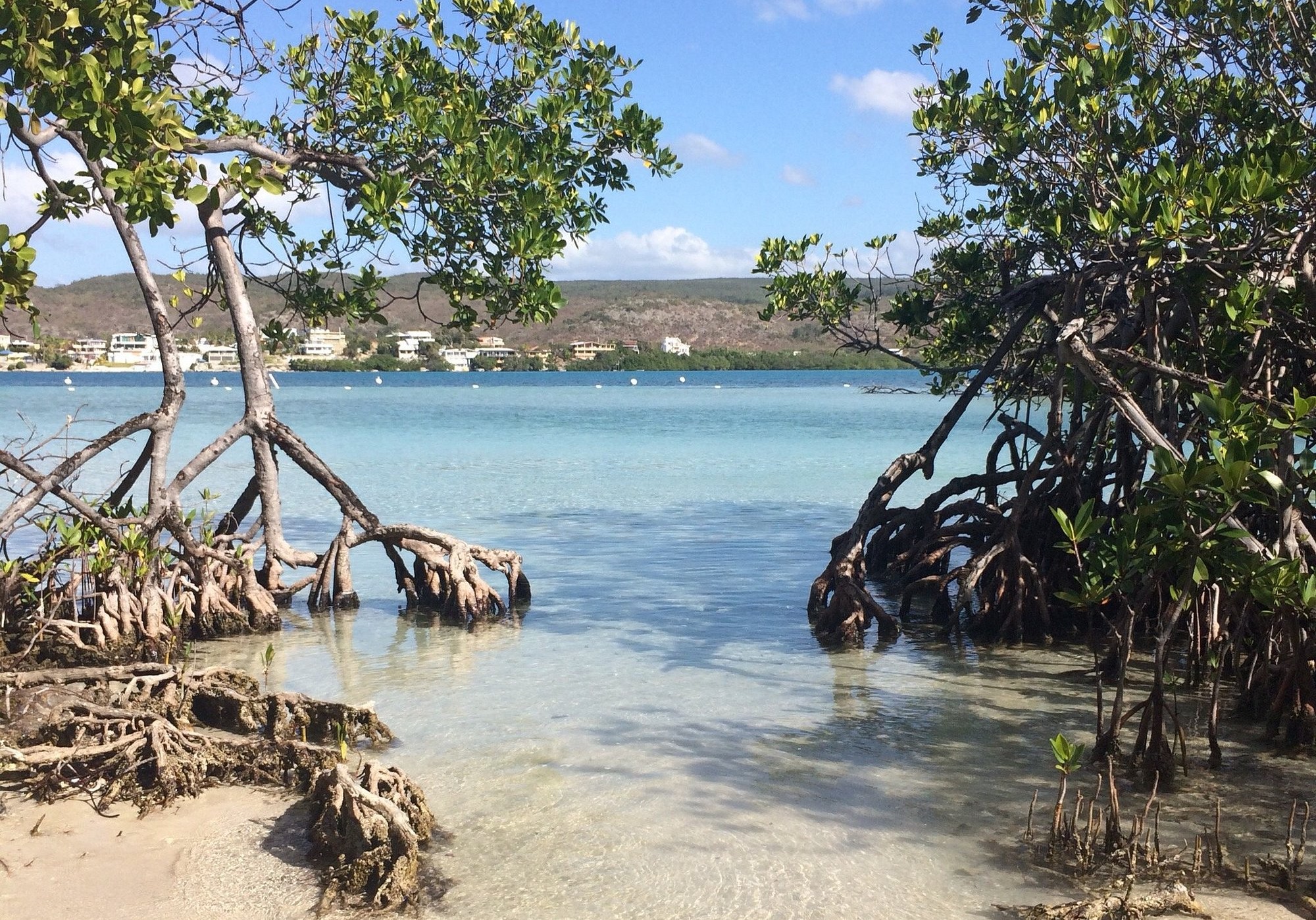 Gilligans Island Cayo Aurora Puerto Rico Homes