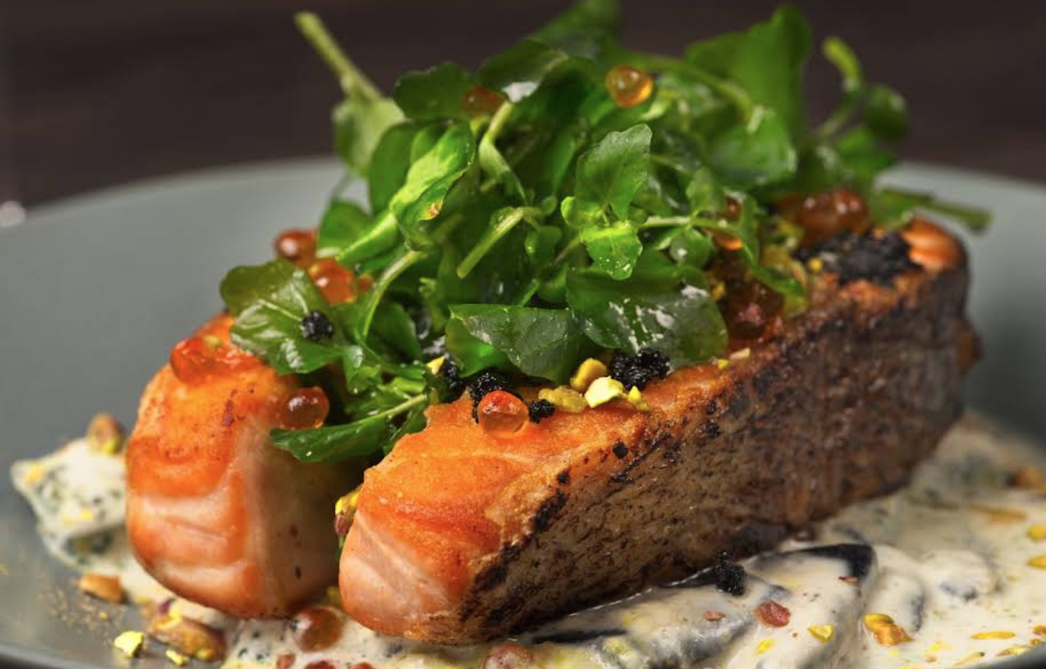 Marcella Restaurant By Jose Sanchez Escambron Beach Salmon