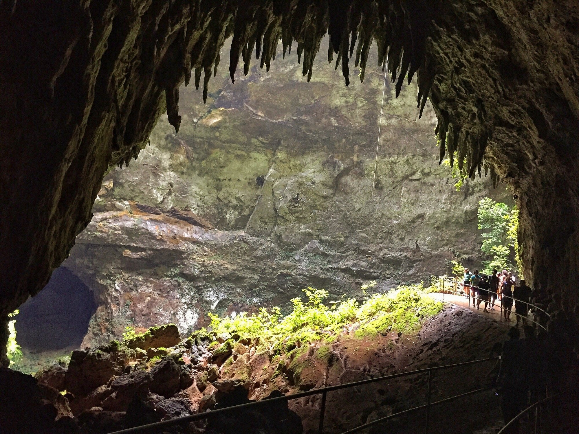 Rio Camuy Caves Puerto Rico