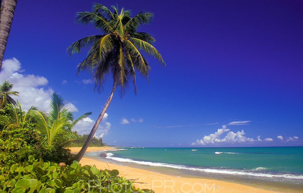 San Juan Cruise Port Puerto Rico Pinones Beach