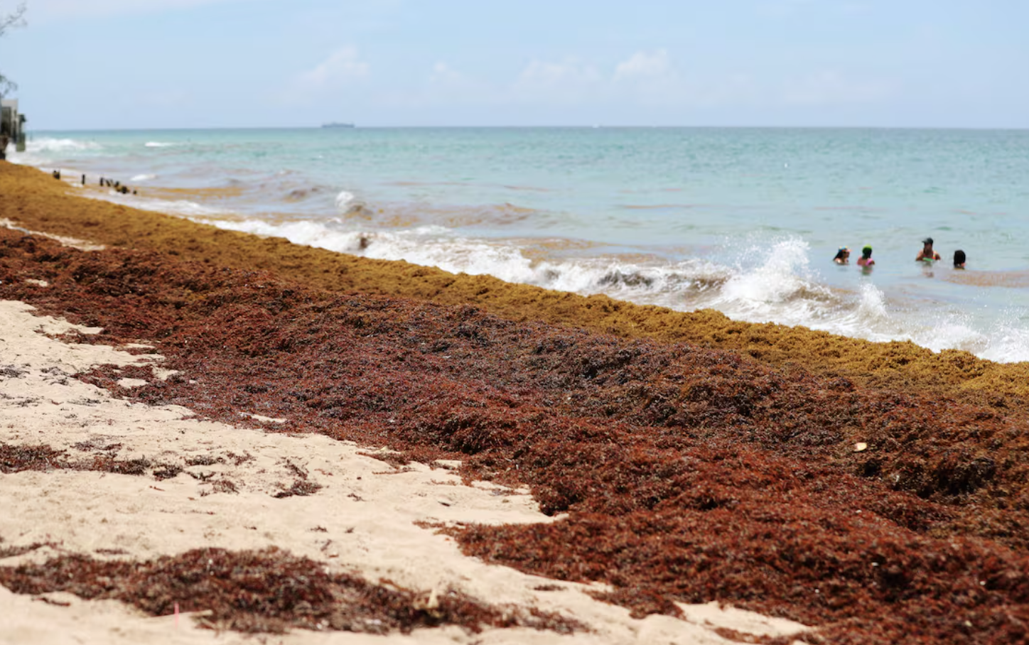 When Is The Best Time To Visit Puerto Rico And Avoid The Sargassum