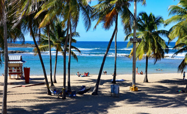 Apartments And Condos Port Of San Juan Palmtrees